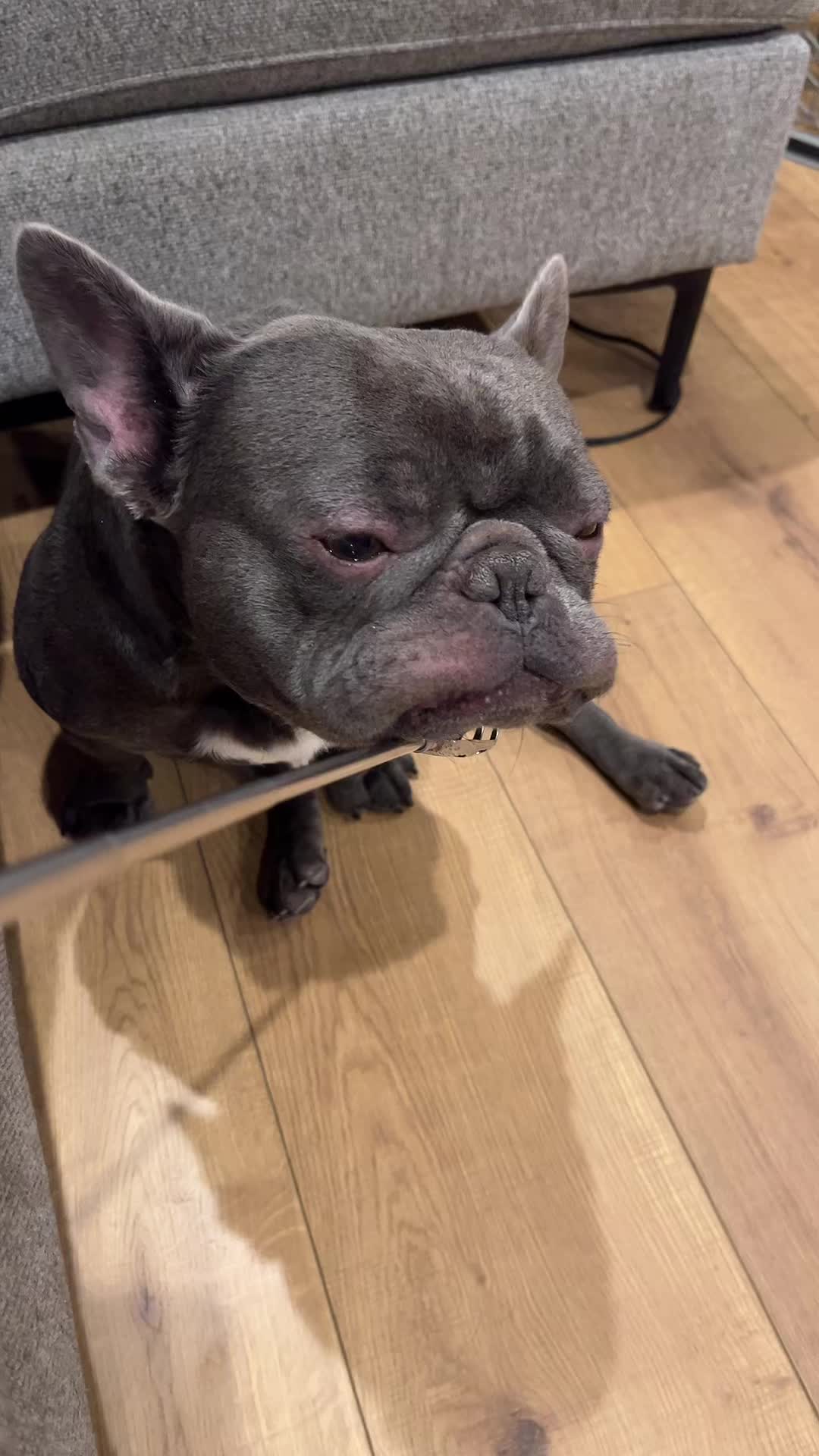 @Shaq Diesel