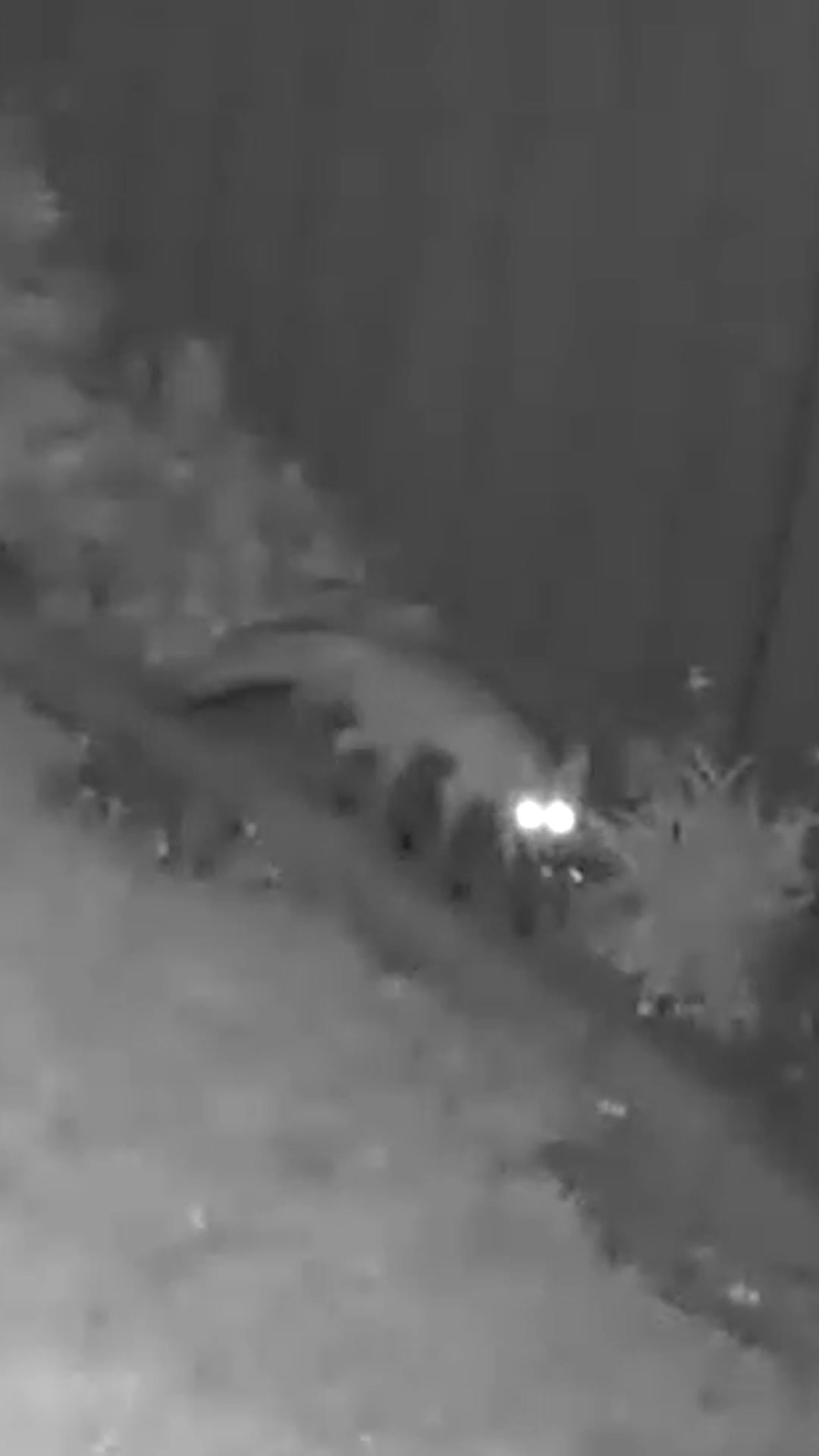 @F🦊XSEE👀Footage🎞️