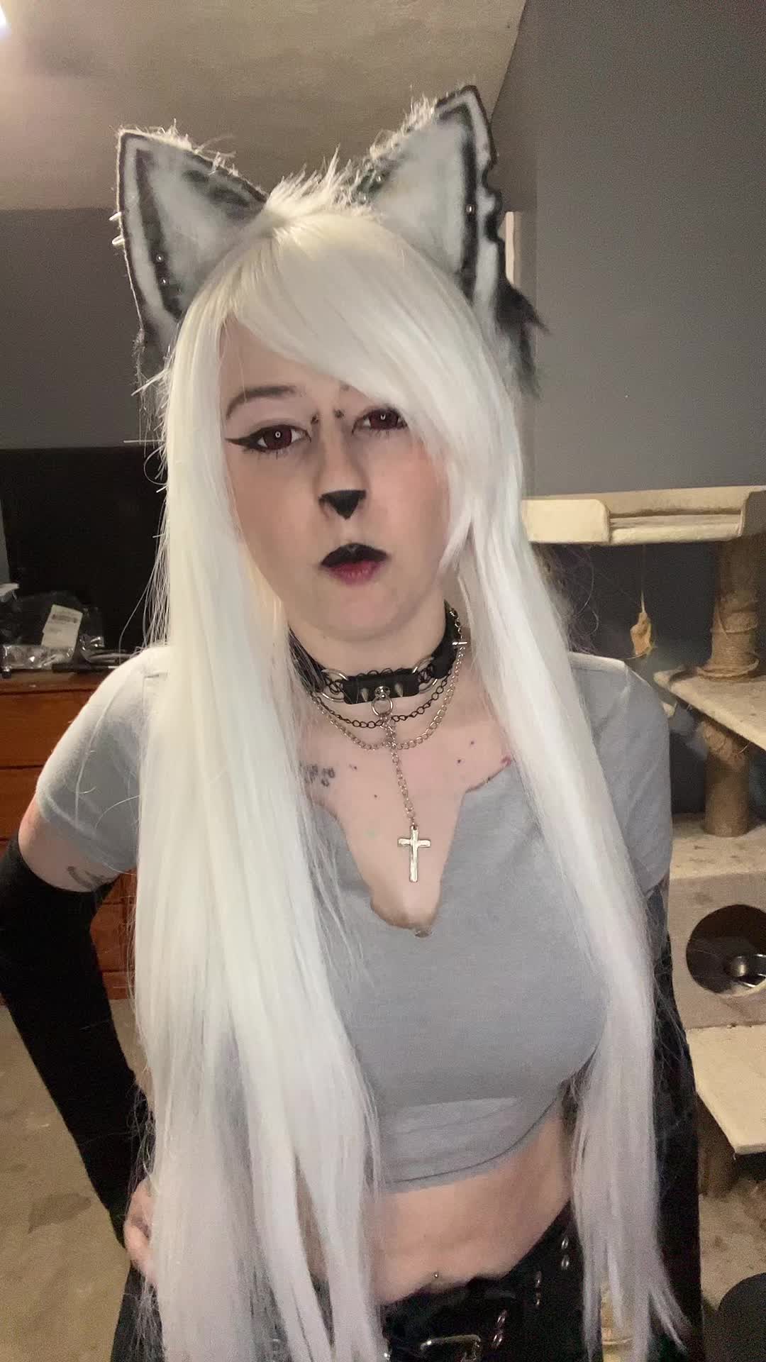 @candiedkitsune