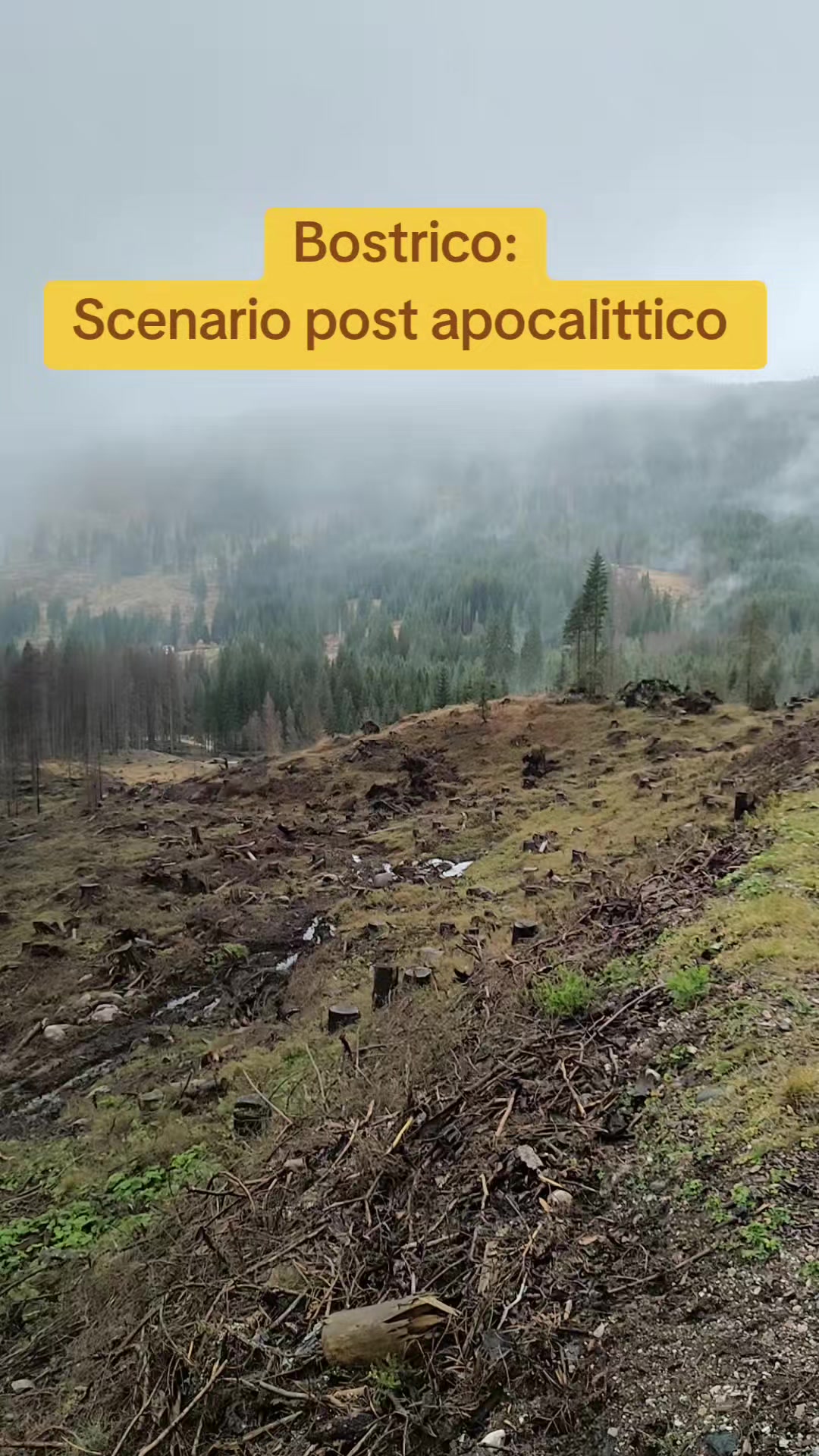 @Montagna Estate