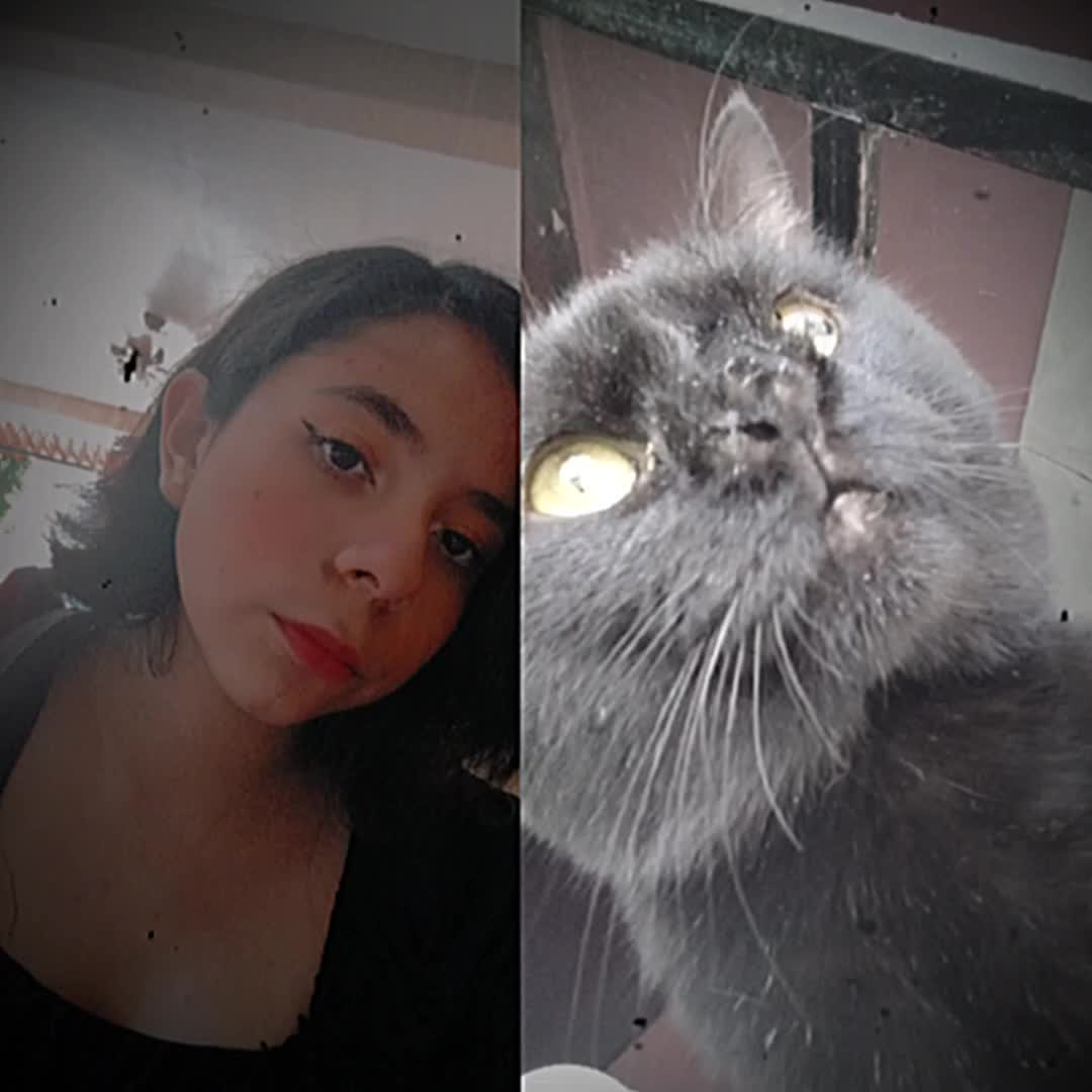 @Rosaaaaaa