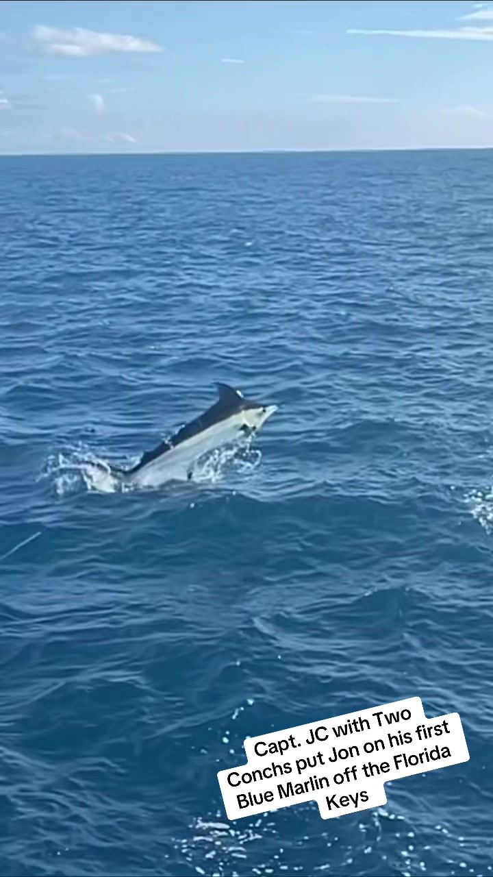 @TwoConchs