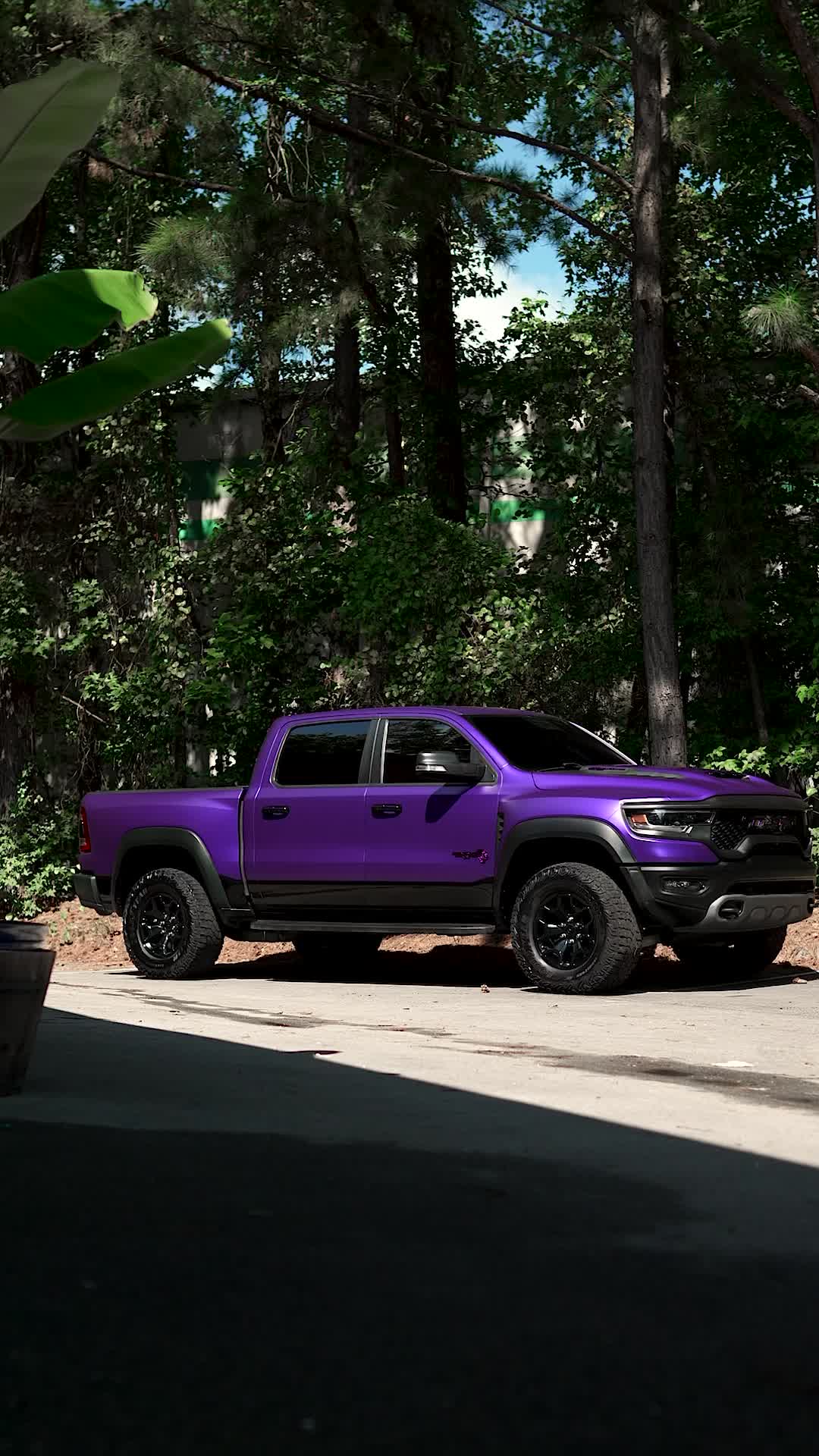 @5stardesign