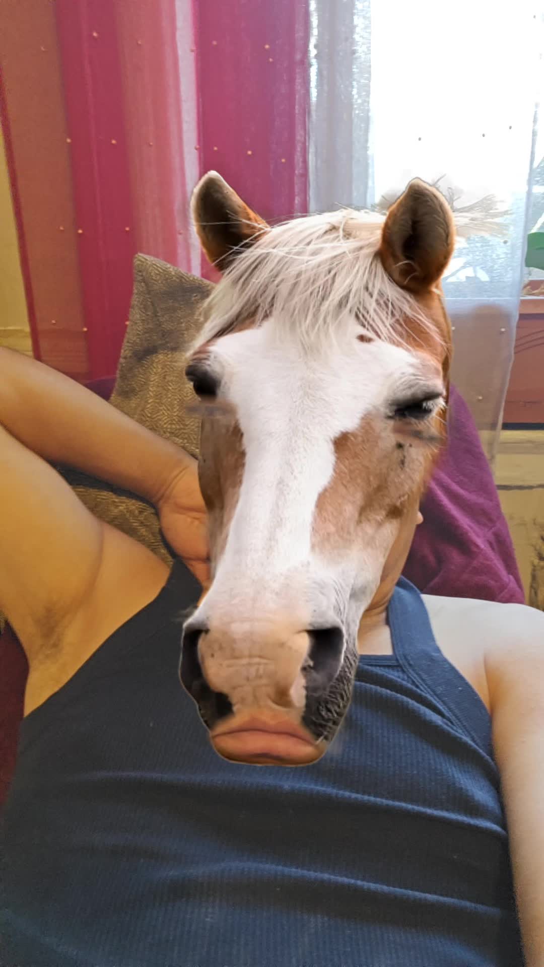 @𝐶𝐻𝐼𝑀𝐴𝐷𝑂𝑅