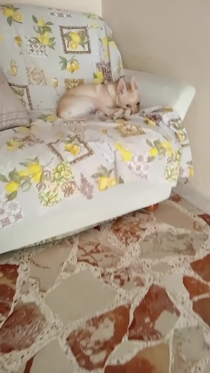 @Maria Agata