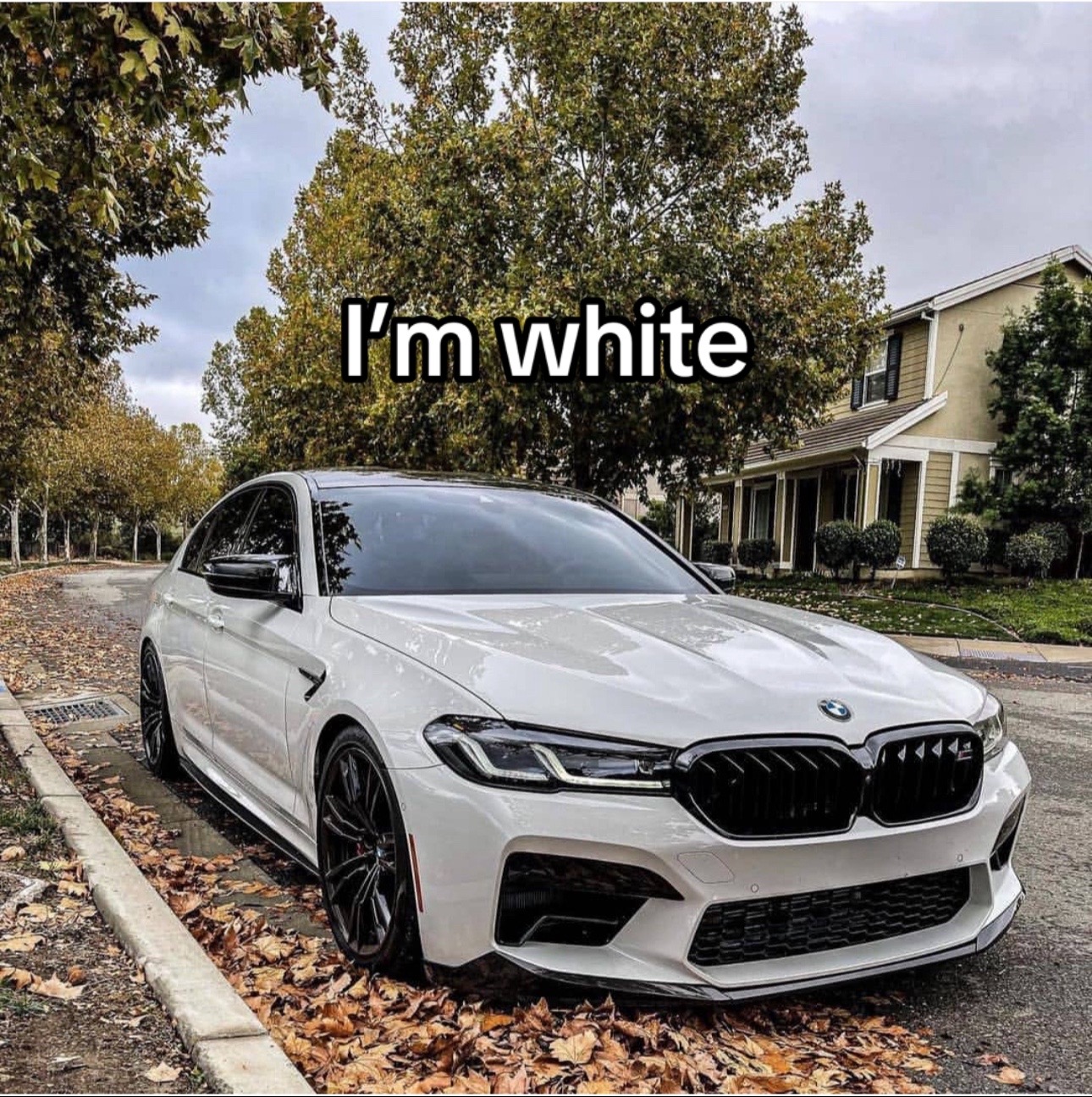 @bimmerloveboys