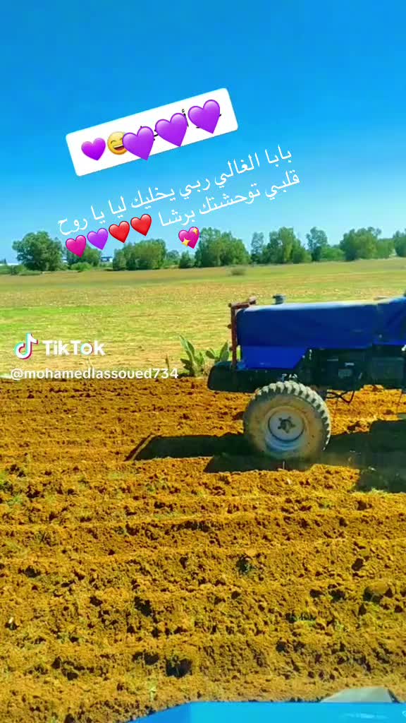 @🇹🇳🦋Latoufa🦋🇫🇷