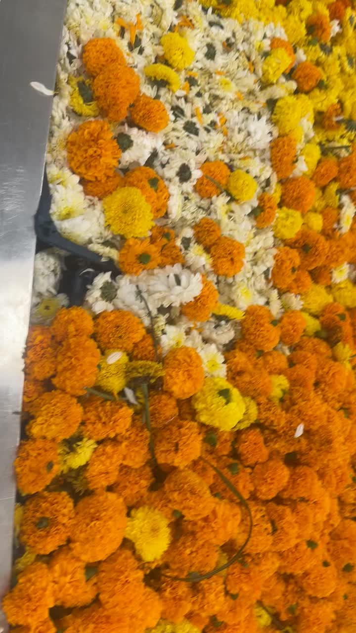 @crazymahi1116