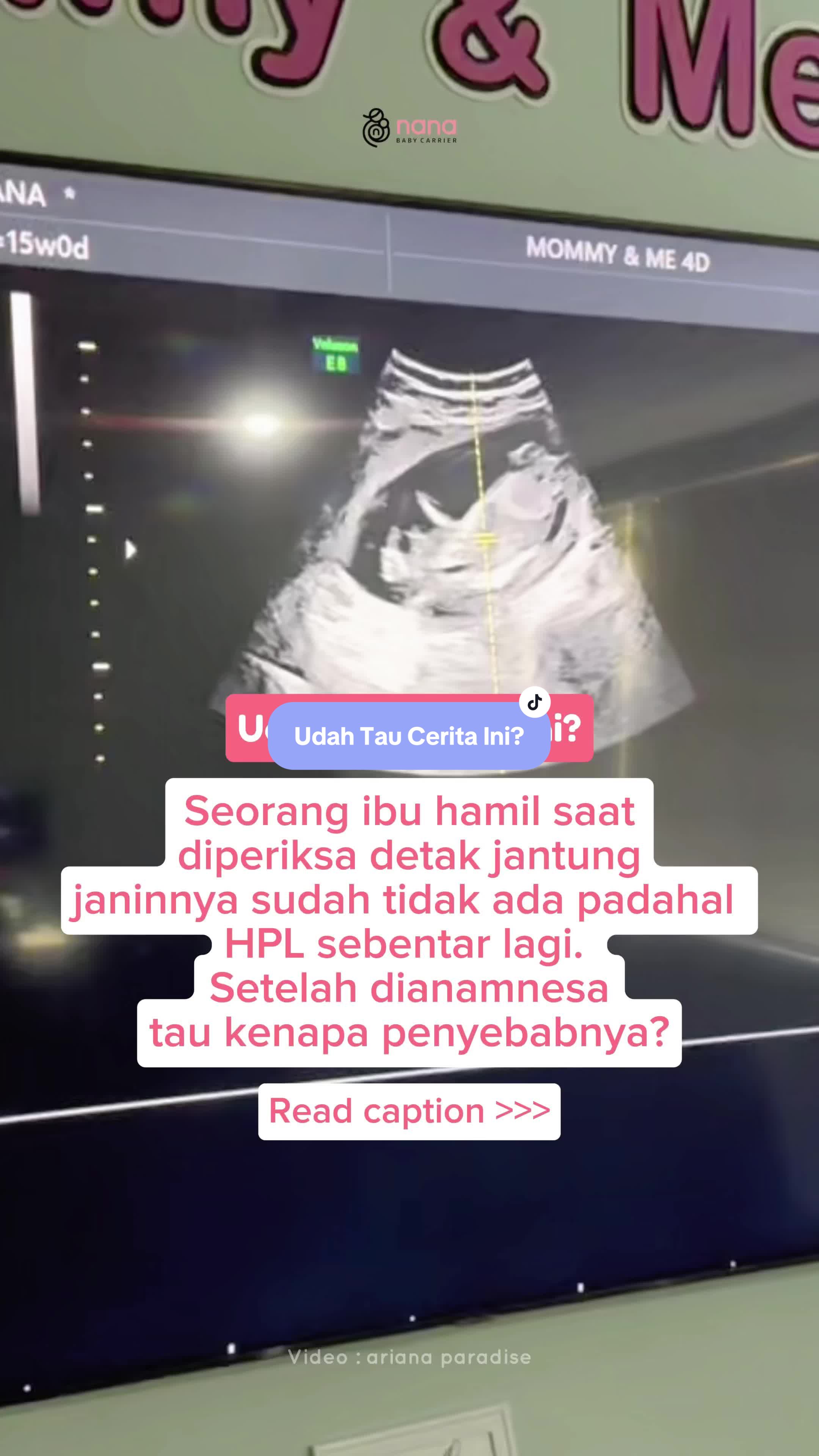@nanababycarrier official