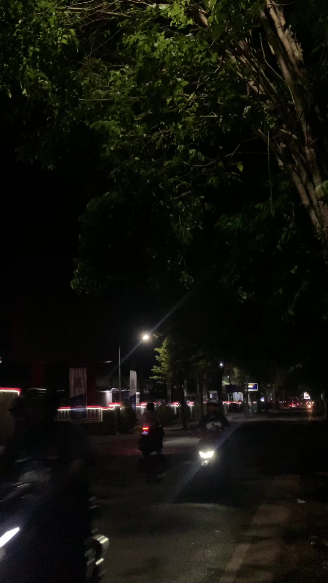 @𝙈𝙖𝙡𝙯𝙯