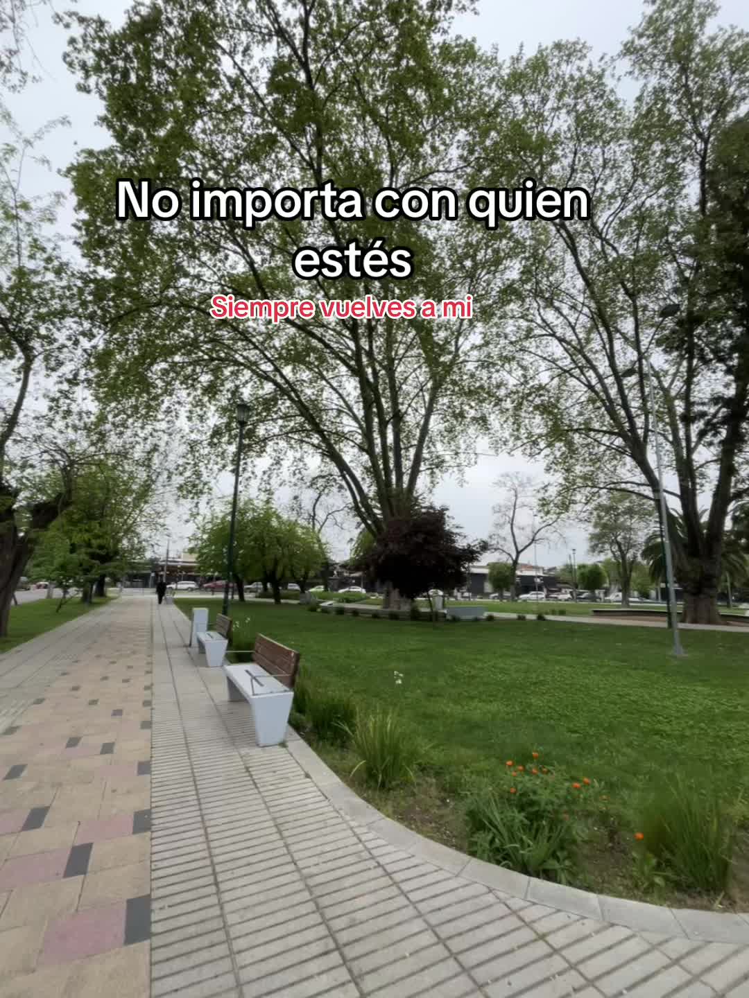 @Coni 🌻