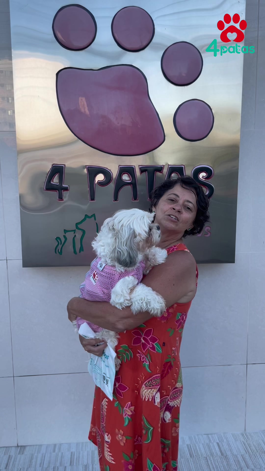 @4patas24h