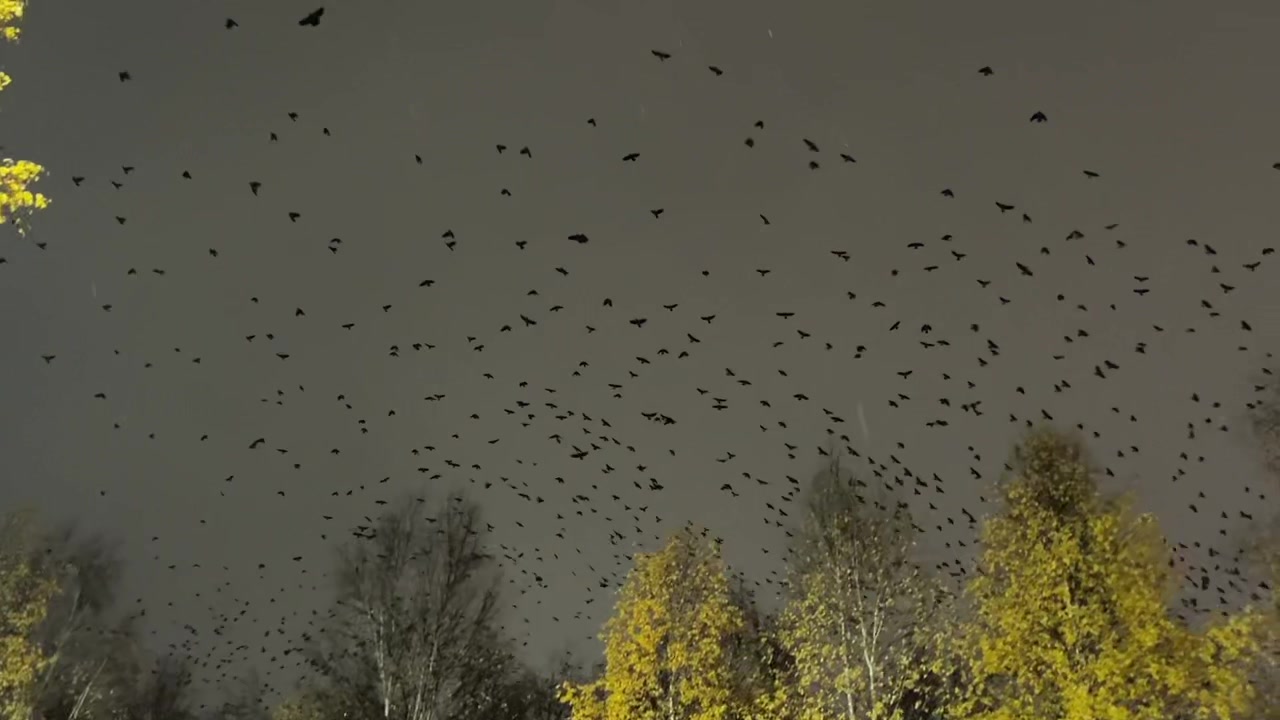 @Викуля