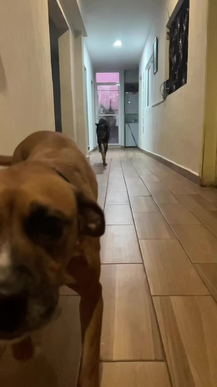 @私はいちご！