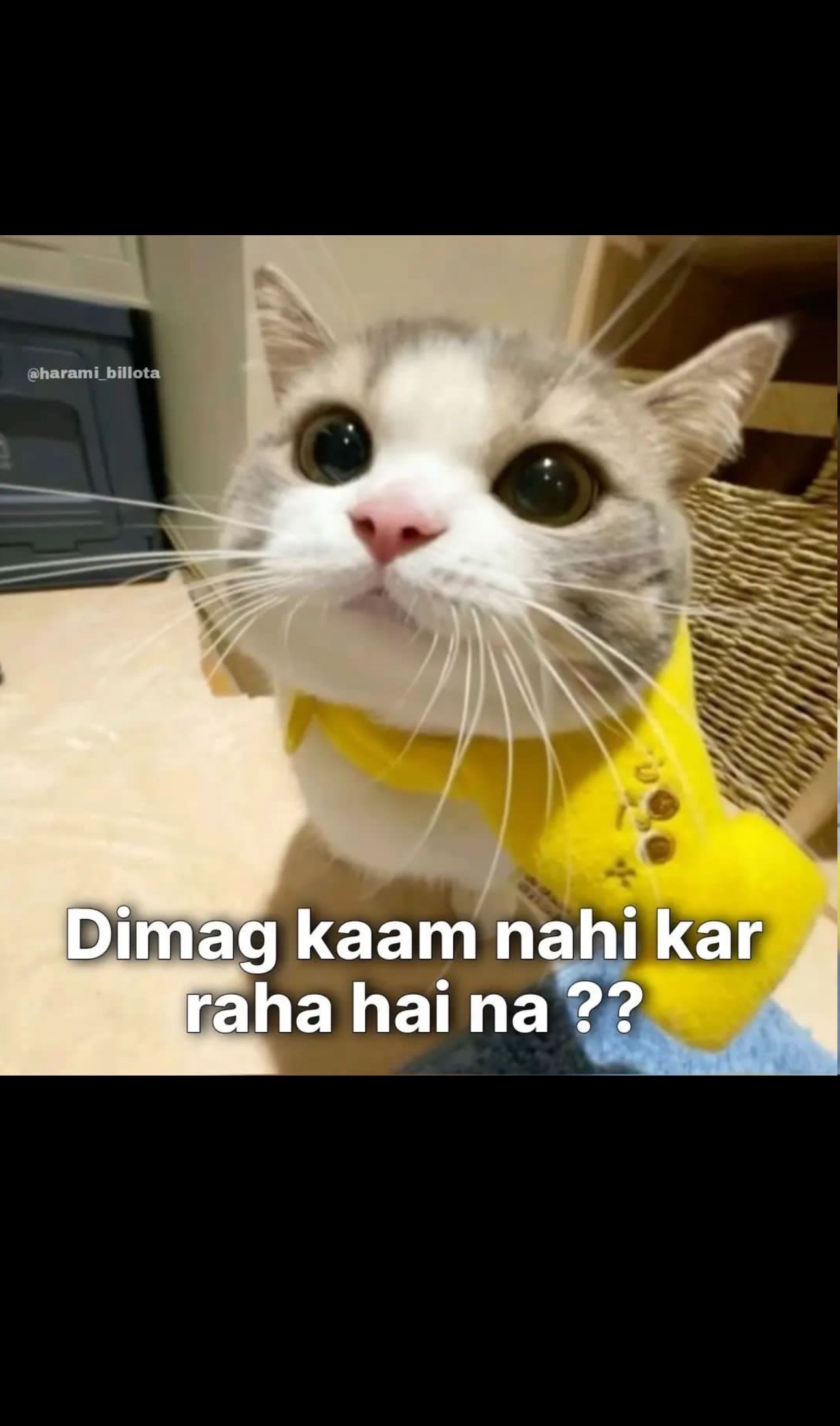 @Znb