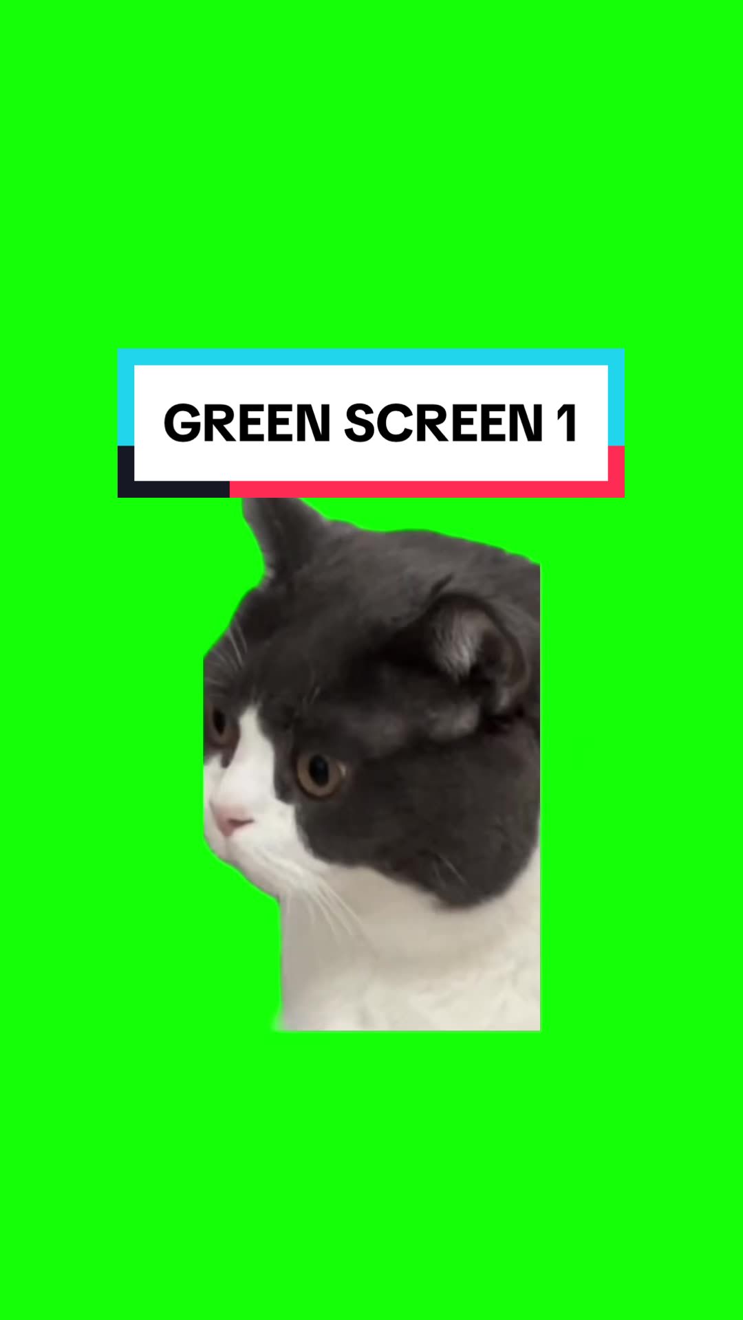 @Emojithecat