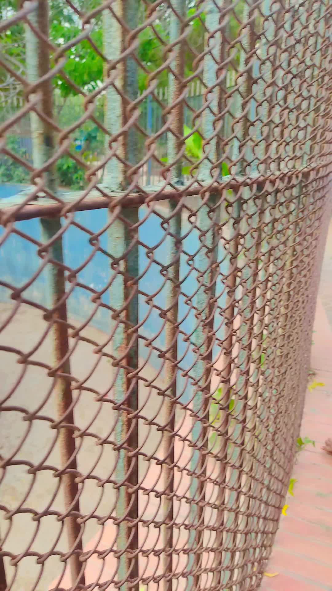 @umarjan