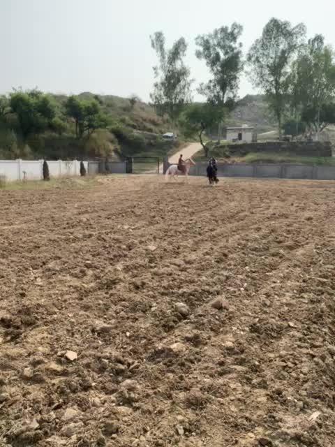 @#JATT 🇵🇰🦅🦁🚜