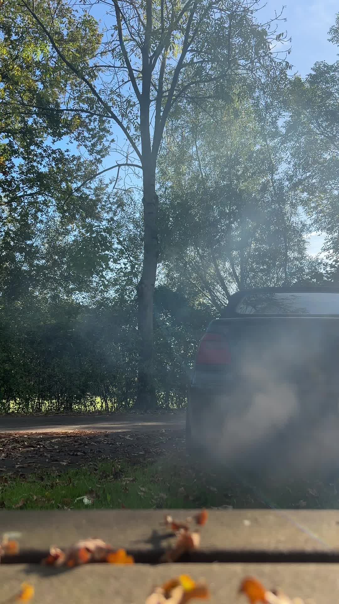 @Leeon_mk3