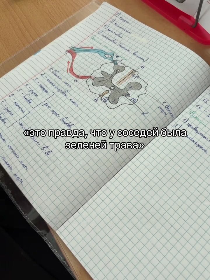 @янормис