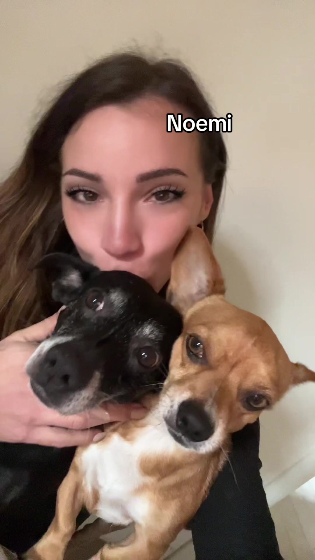 @Lionmi 🦁
