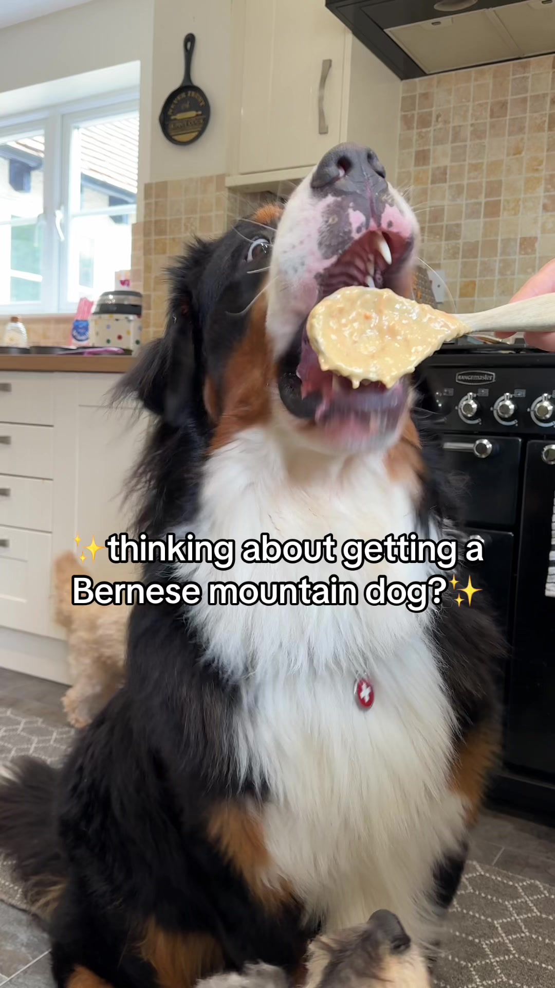 @GorgeousGeorge