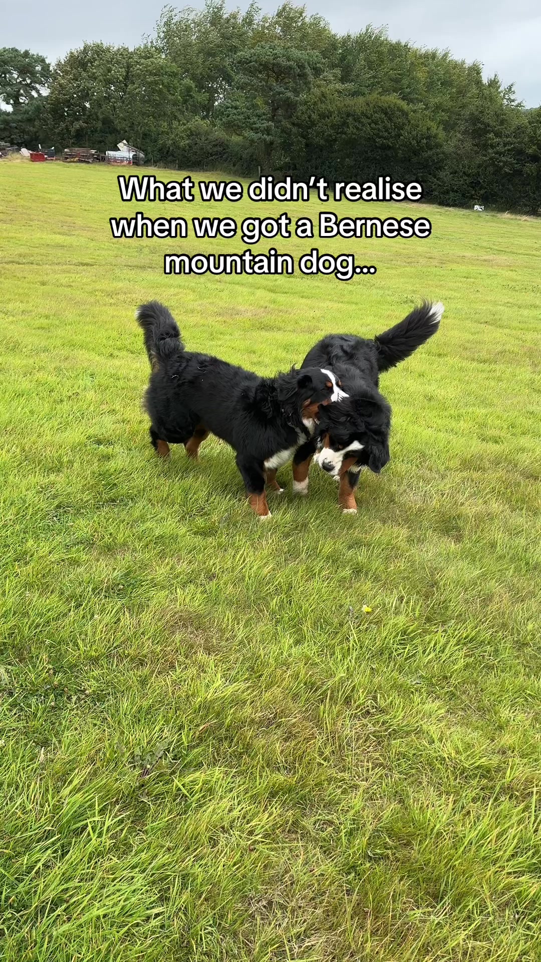 @GorgeousGeorge