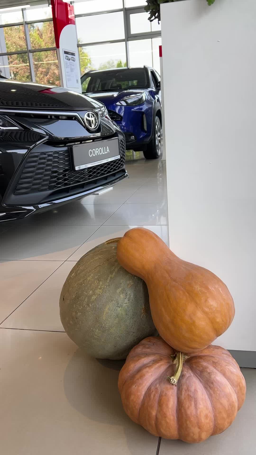 @toyota_moldova