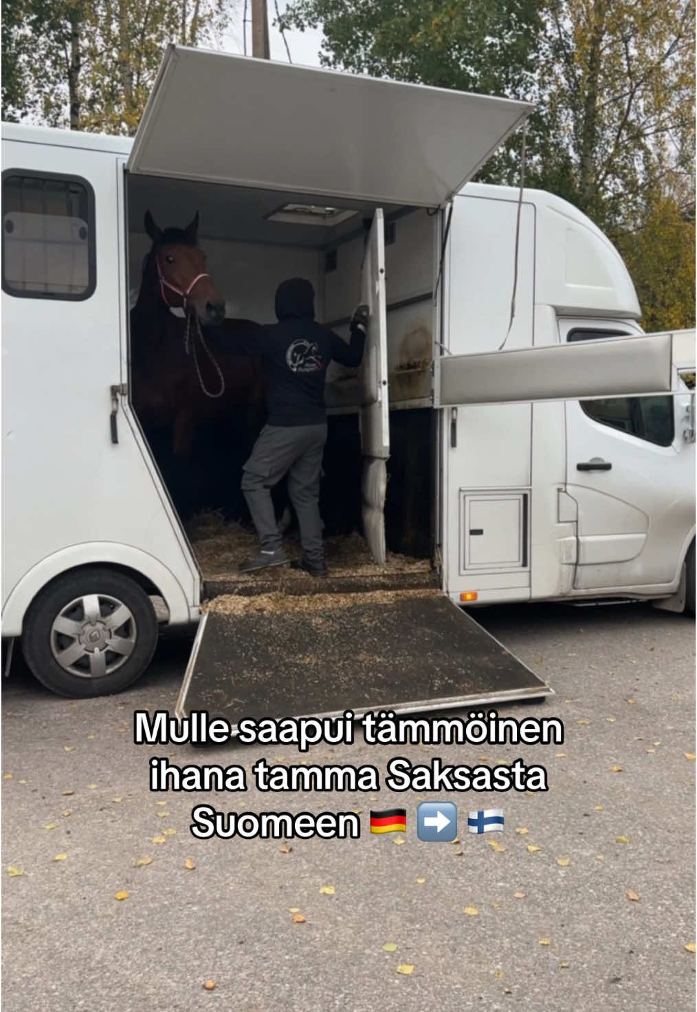 @Minja Hindstr&ouml;m