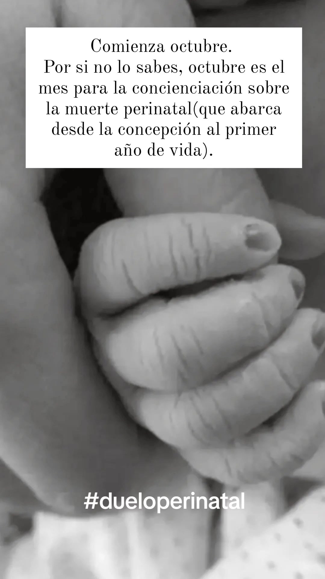 @Eirene García