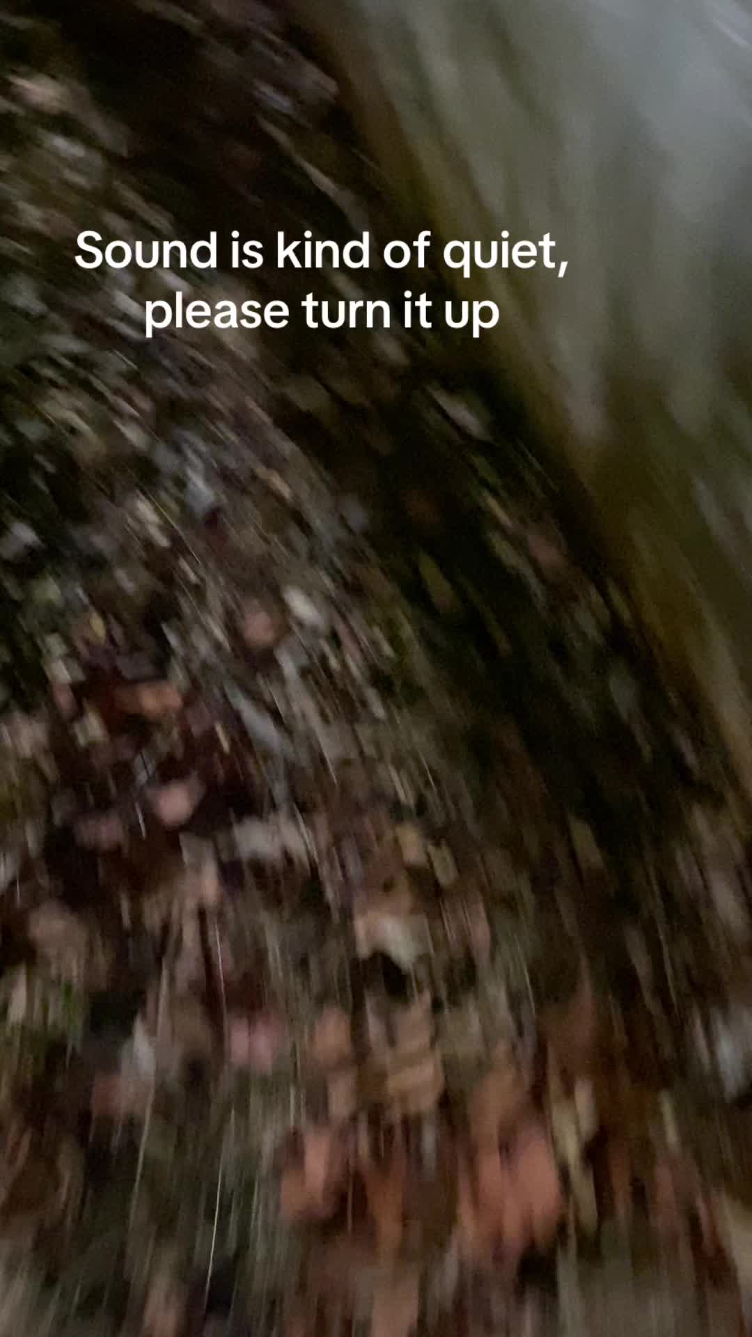 @Tiny Home Zoo