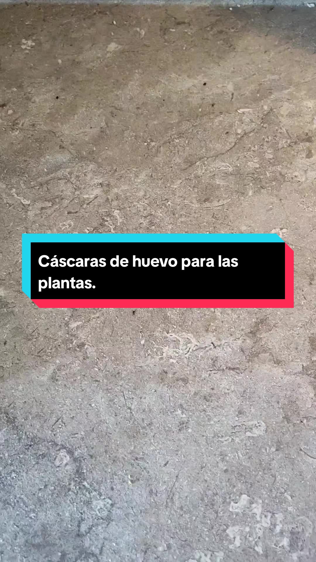 @Ecoversi&oacute;n