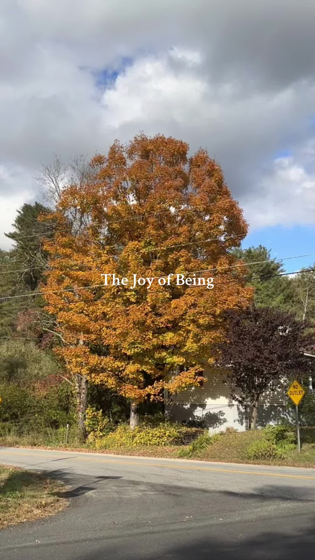 @Megan