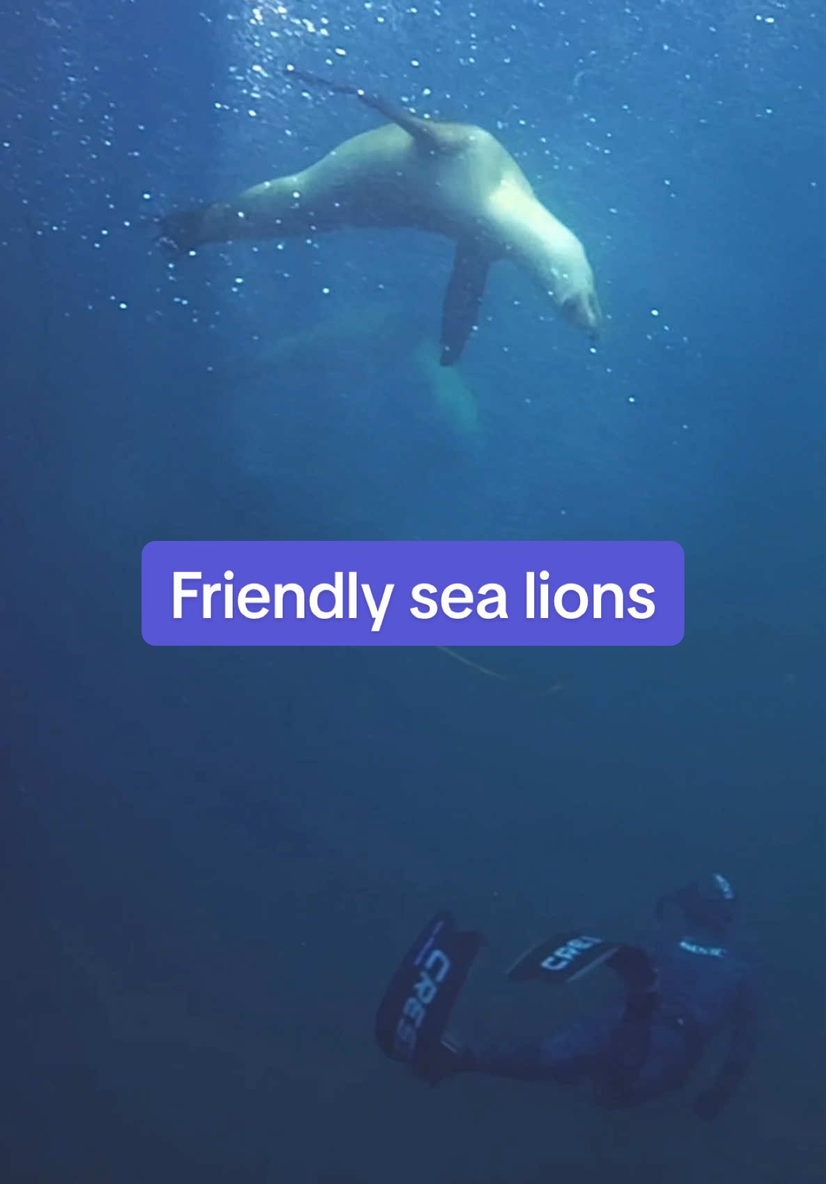 @lenaunderwater