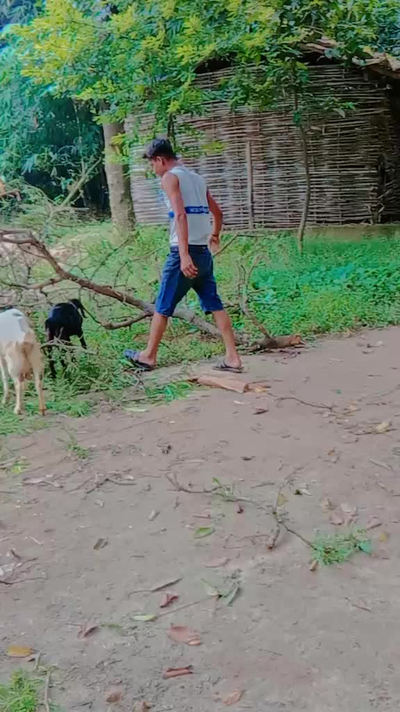 @Harishankar Kumar king
