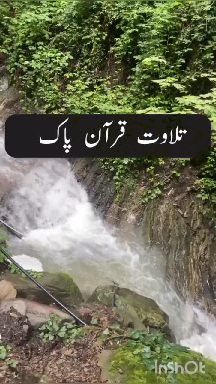 @zulfiqar Ali
