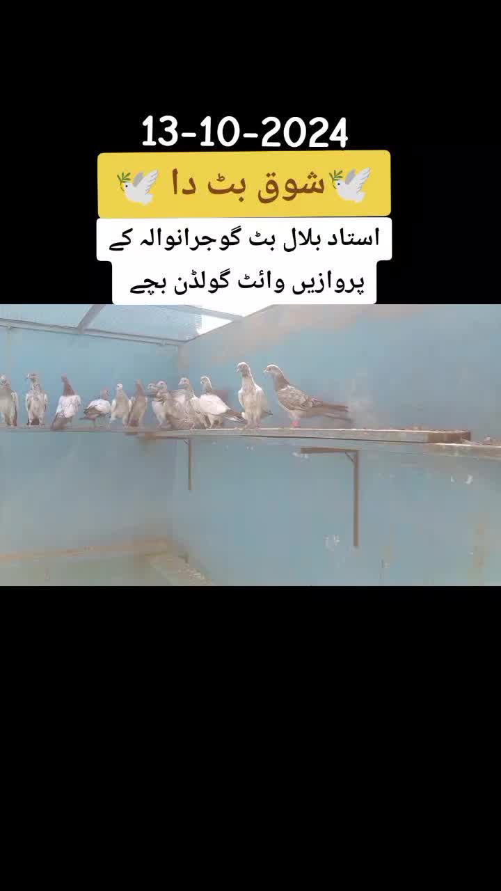 @Ustad Bilal Butt