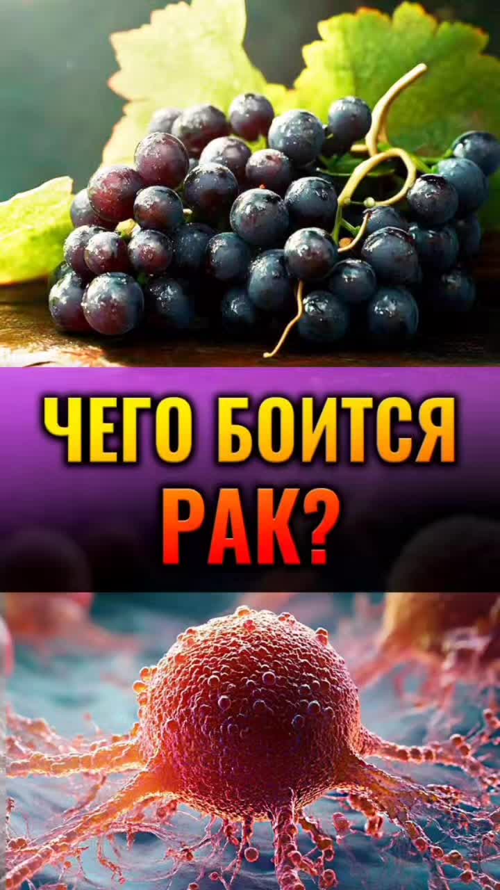 @ЗОЖнавигатор