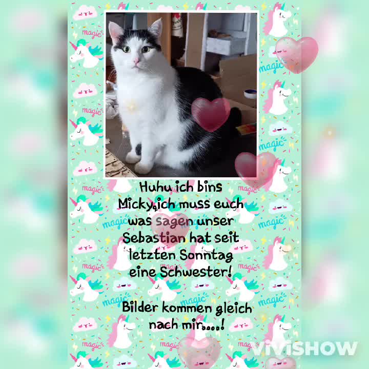 @Melanie Burg katzenstein😻😺😽