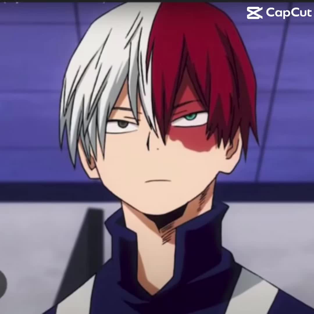 @🌹✨Shoto lover✨🌹