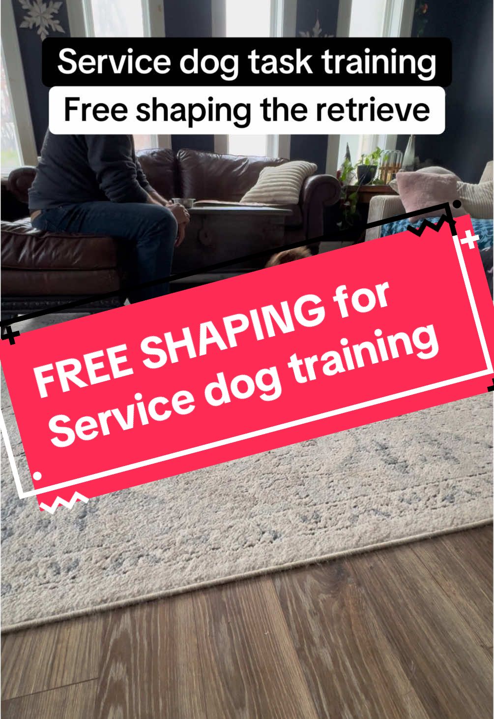 @DivineCanineDogTraining