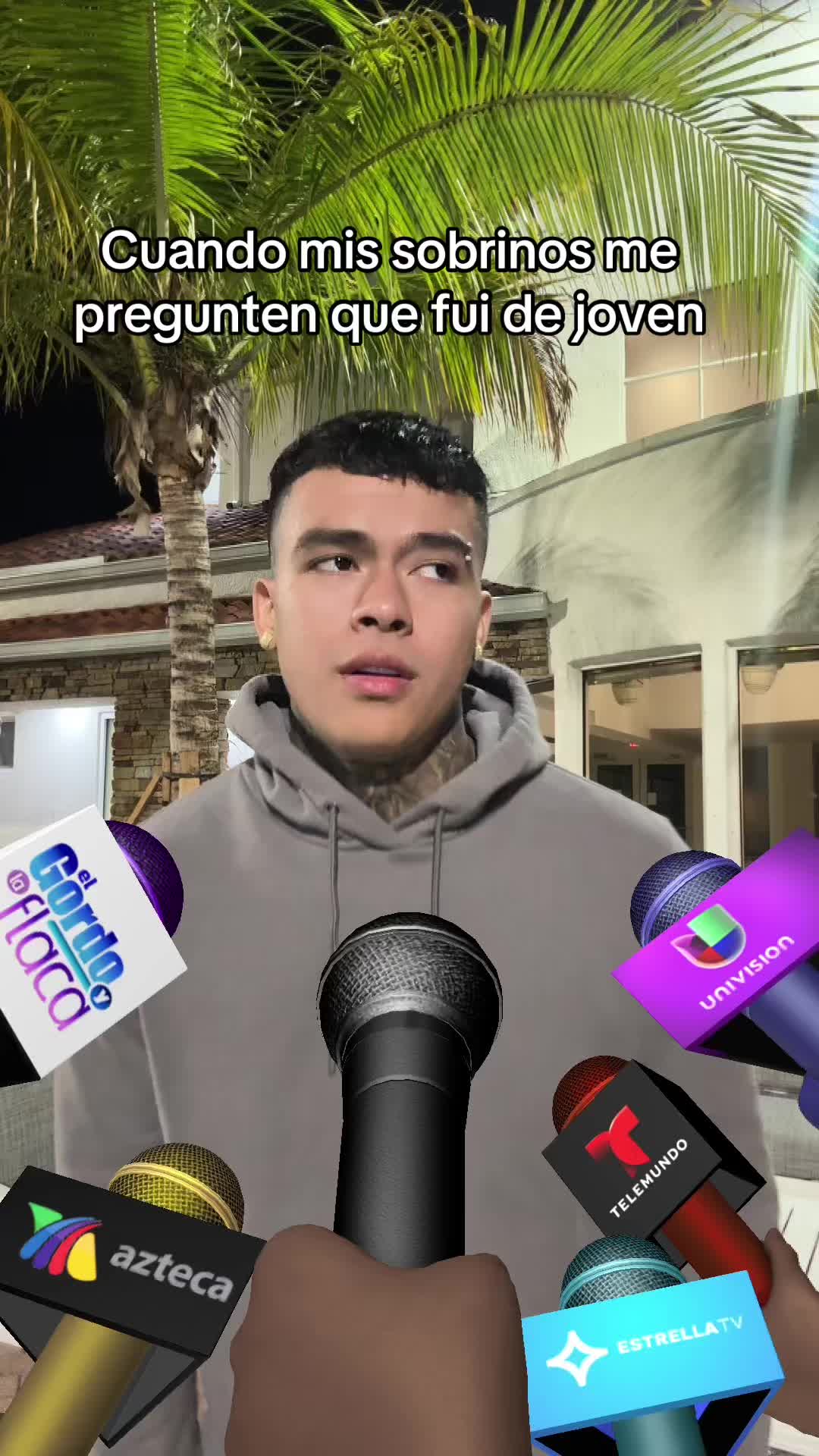 @palomino🦁