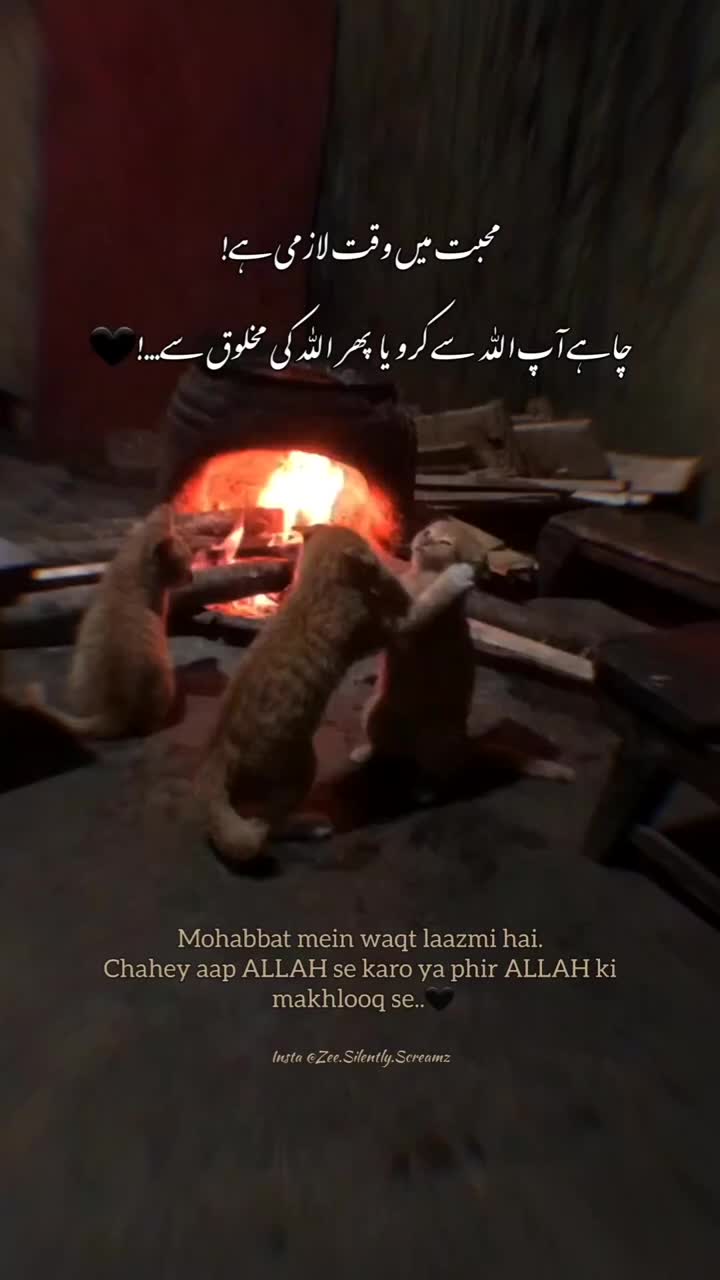@Faizoon Forever