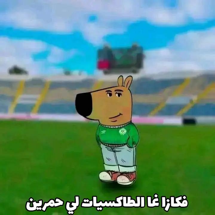 @AMINE...Curva.__.Sud