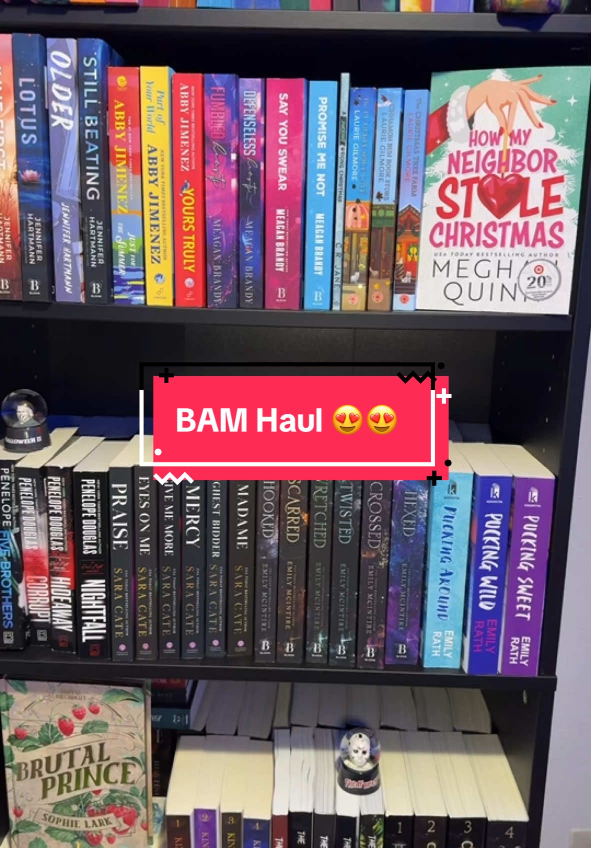 @VtheBookEmpress 📚 🩵✨