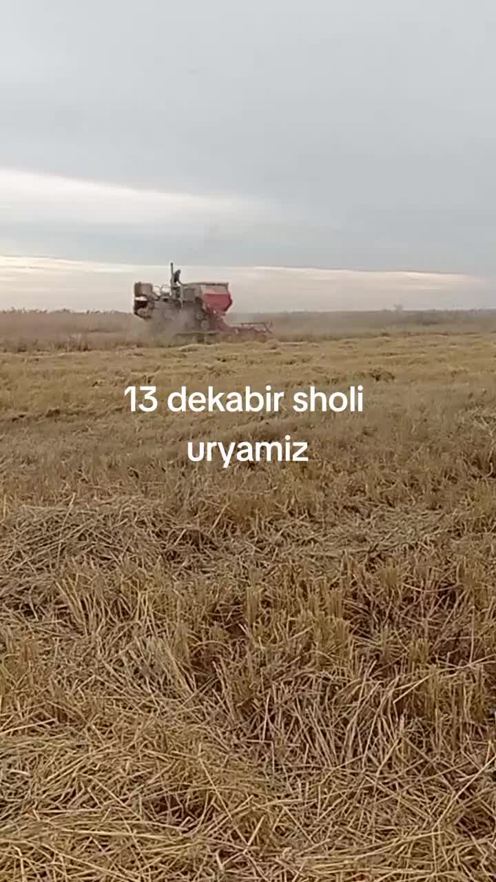 @Telbalarcha