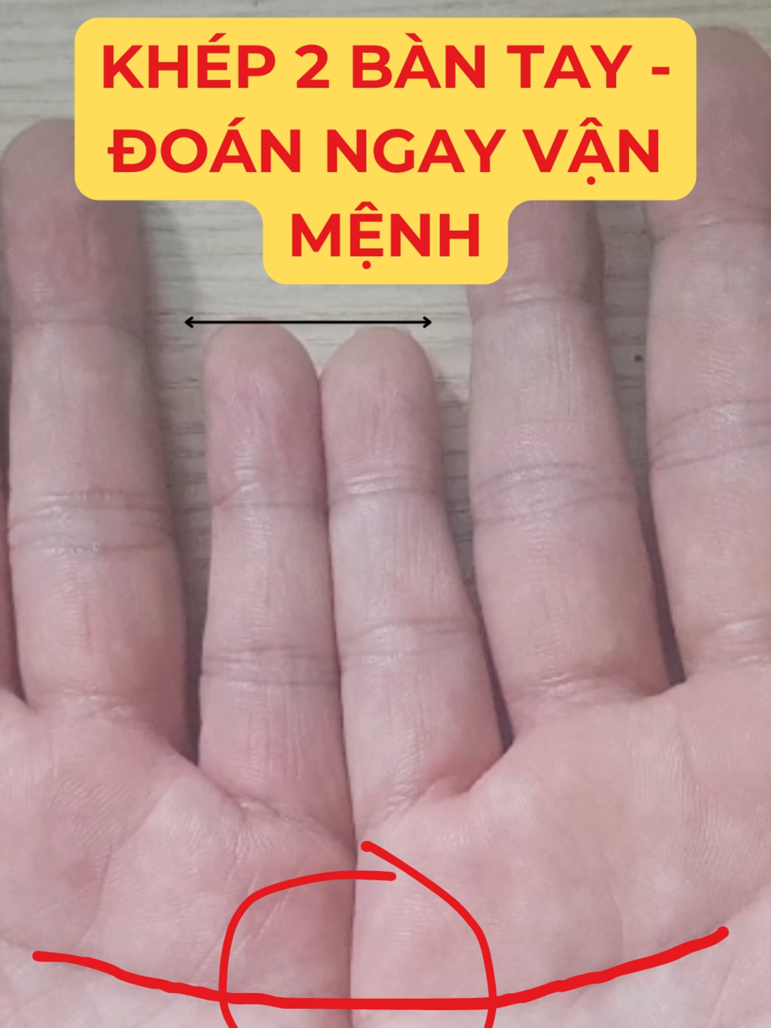 @Học Xem Chỉ Tay