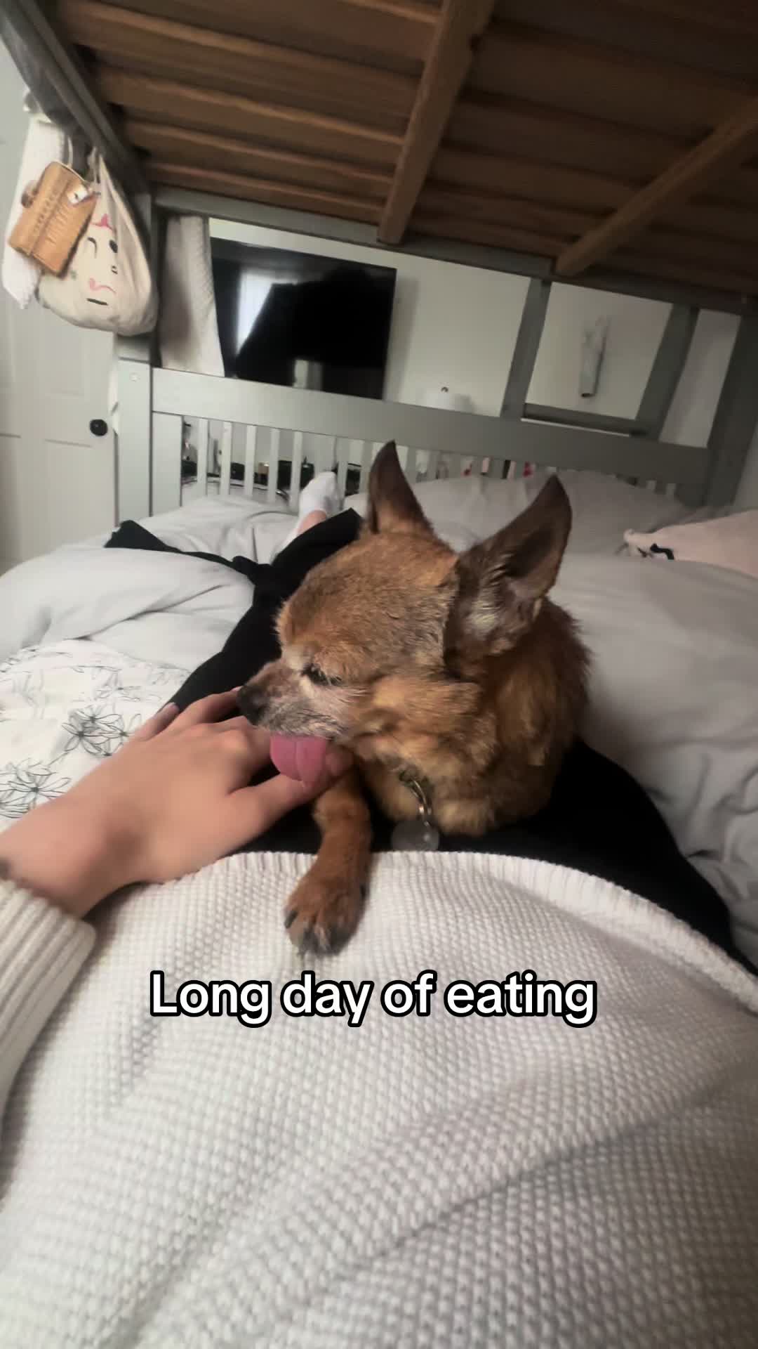 @choochee