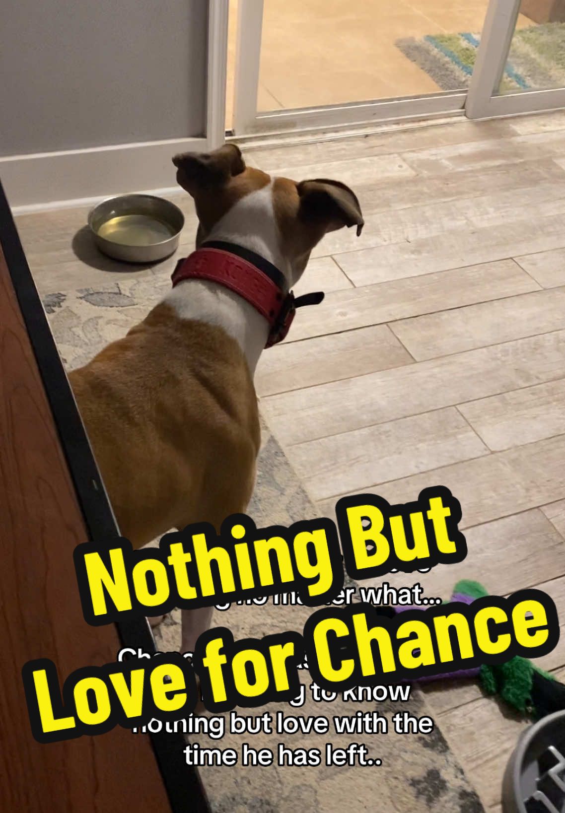 @Chance and Co