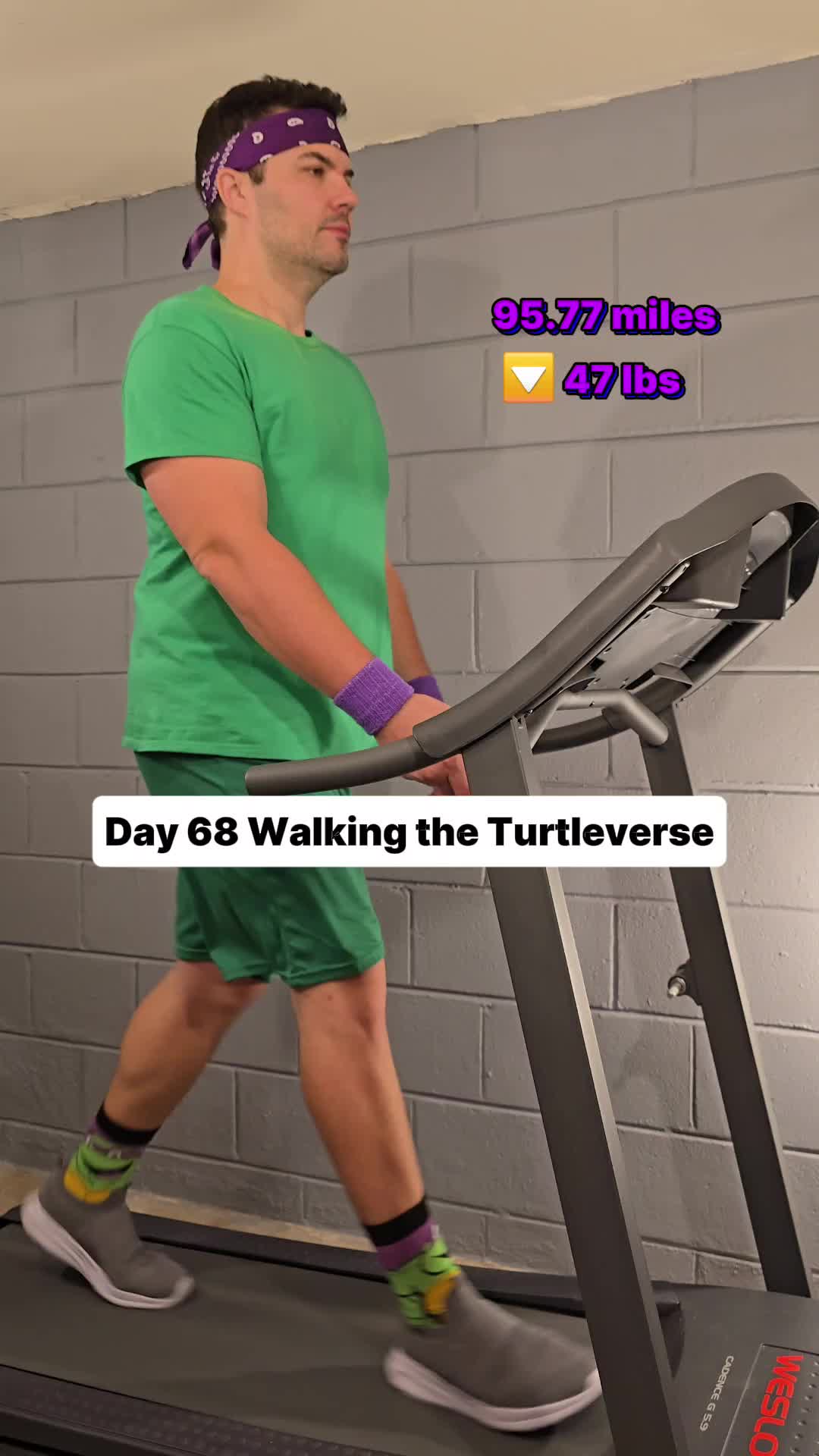@Walking the Turtleverse